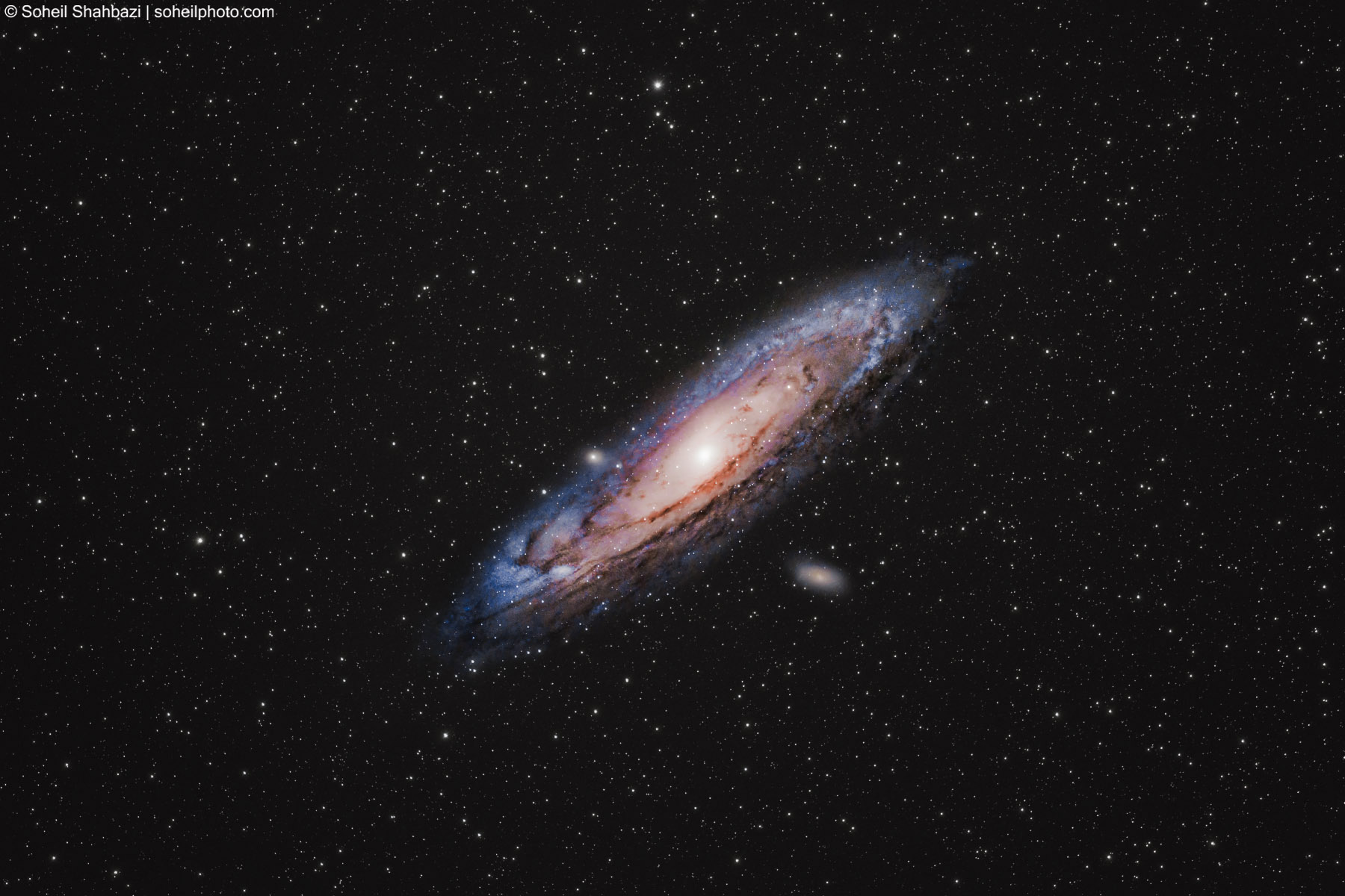 Deep space Andromeda Galaxy M31 by Soheil Shahbazi.