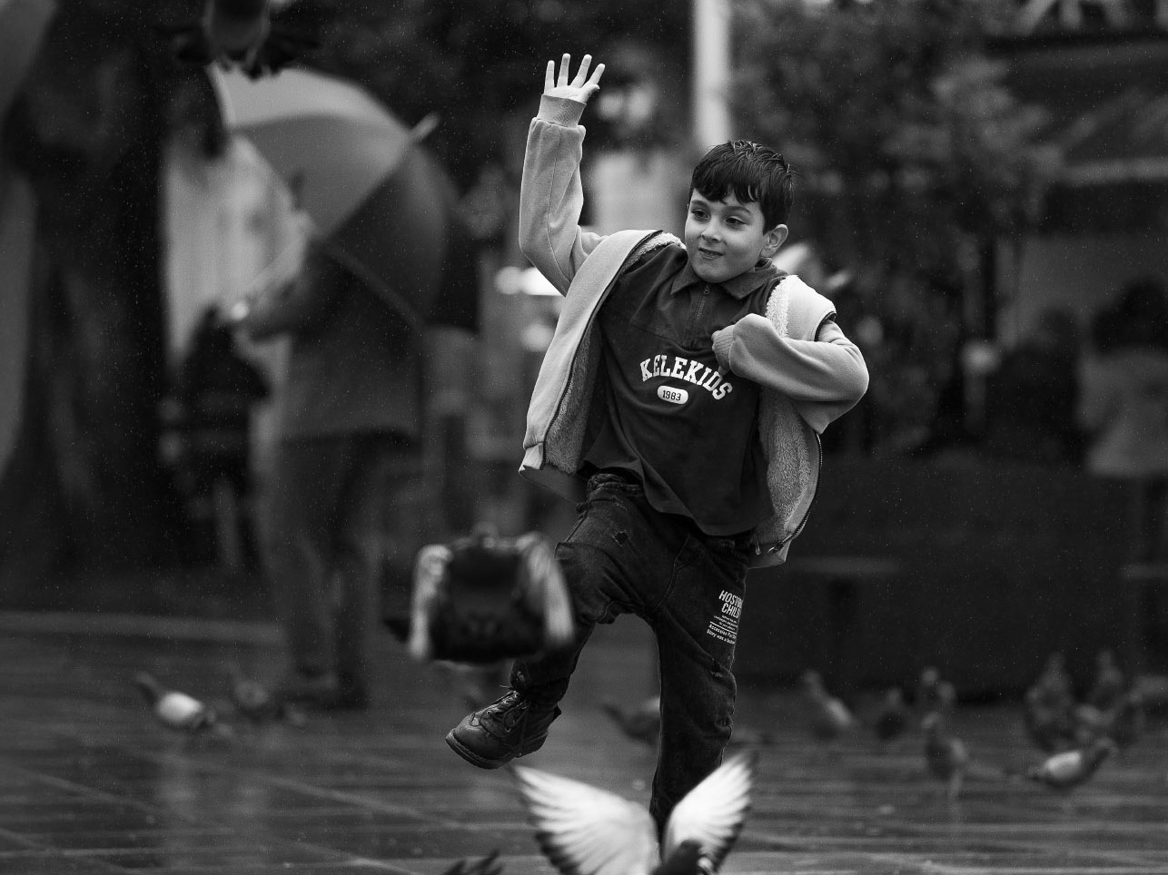 Dance with the Birds
