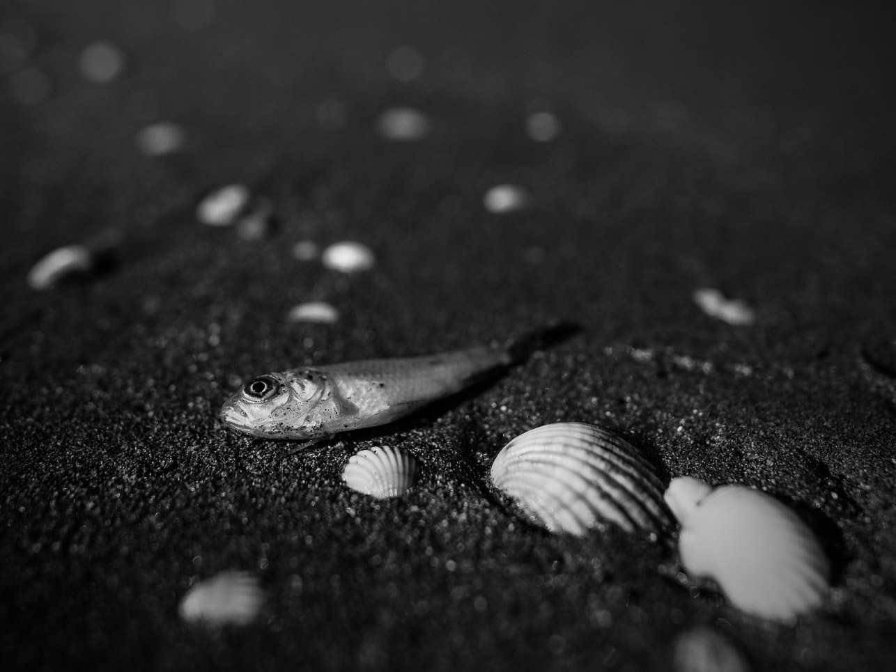 Final Resting Place