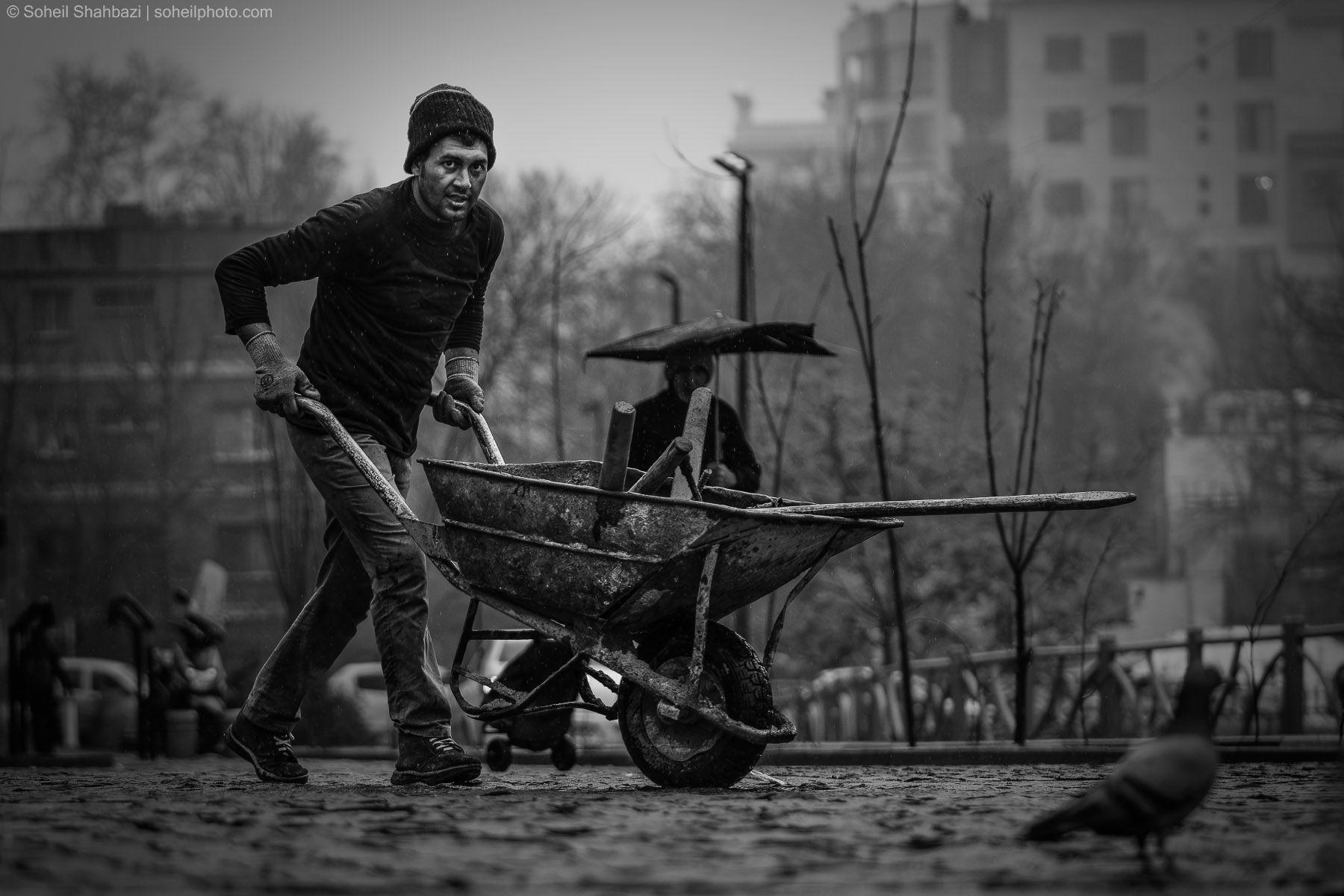 A black and white street photography shot of a man in a beanie and dark clothing pushing a heavy wheelbarrow across a paved ground, with a blurry urban background and a pigeon in the foreground. Photographed by Soheil Shahbazi