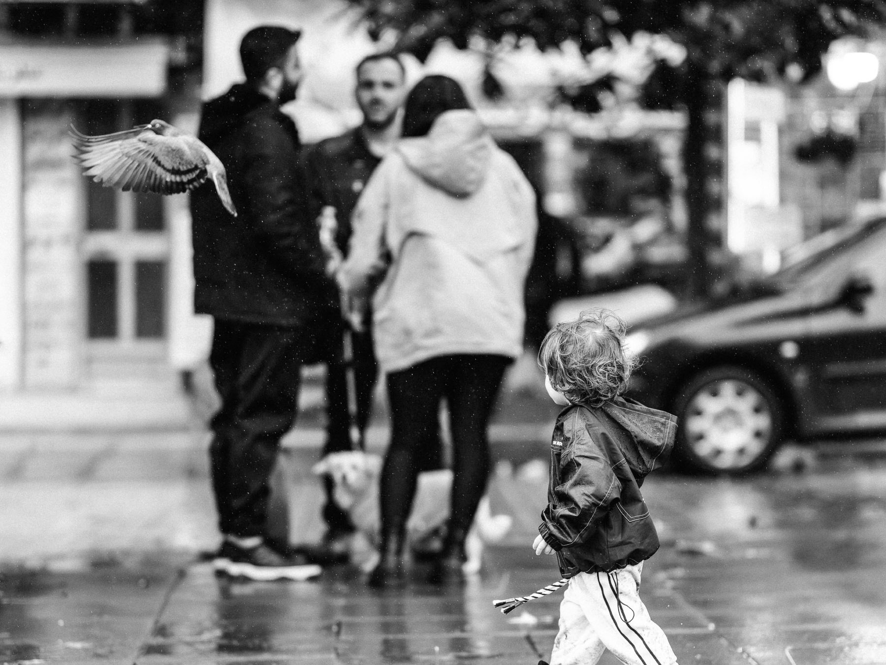 Little Wanderer