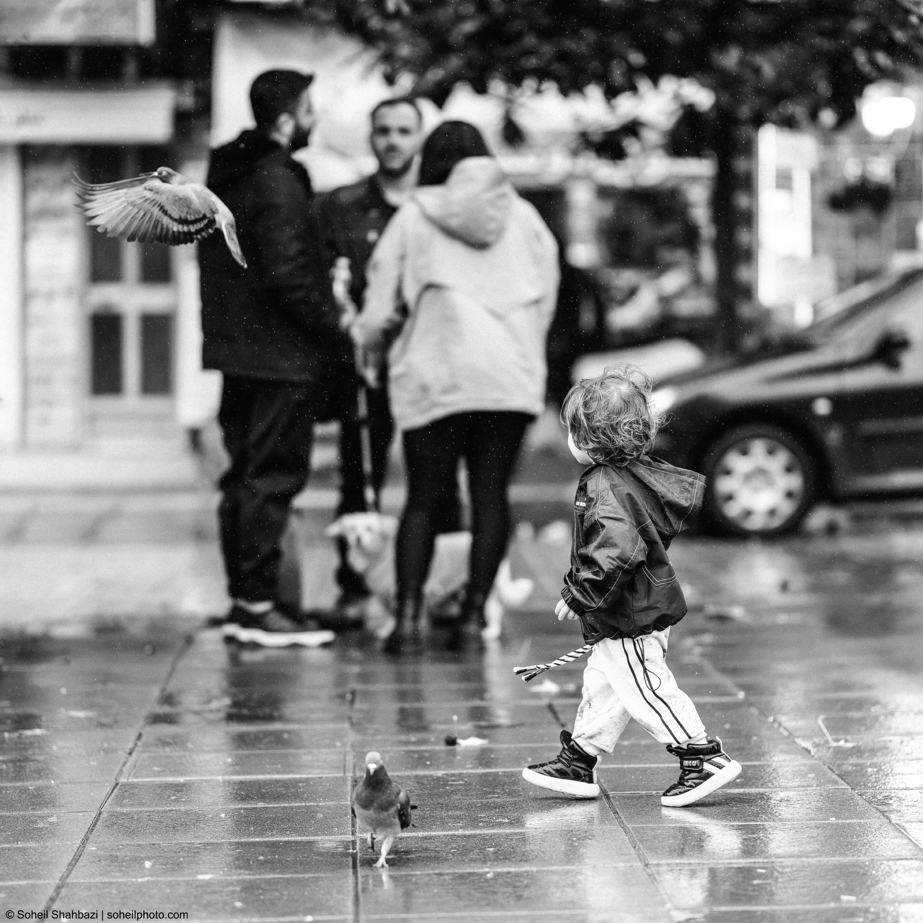 Black and white street photography of a small child walking on a wet pavement with pigeons, with blurred figures of adults in the background. Photographed by Soheil Shahbazi