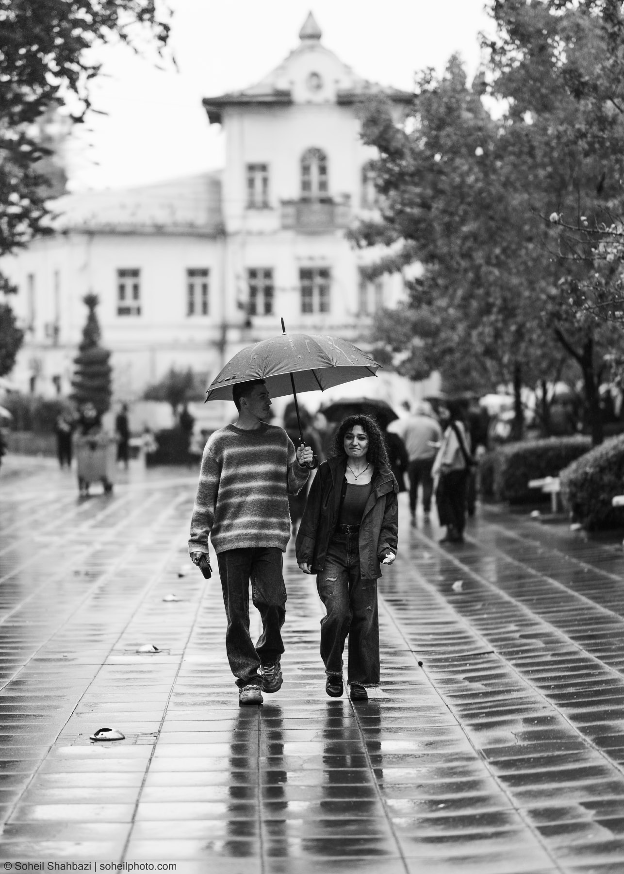 Black and white street photography of a young couple walking together under a shared umbrella on a rainy city street, with reflections on the wet pavement and a classic building in the background, photographed by Soheil Shahbazi