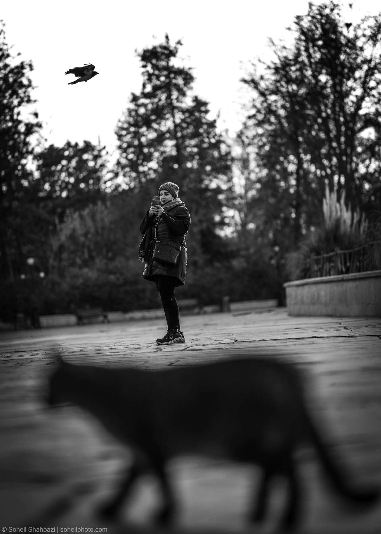 Black and white street photography of a woman taking a photo with her smartphone in a park photographed by Soheil Shahbazi
