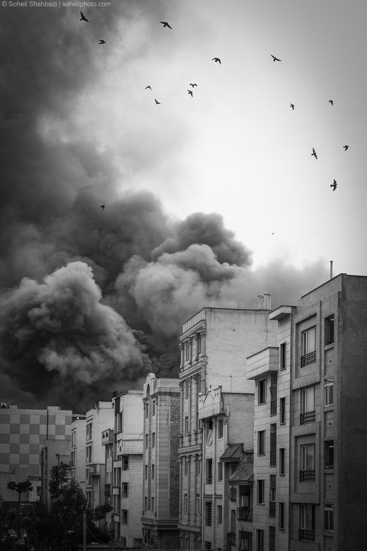 Alt text: A powerful black and white photograph showing massive plumes of dark smoke rising over city buildings during the Iran-US conflict, with birds flying across the sky, photographed by Soheil Shahbazi
