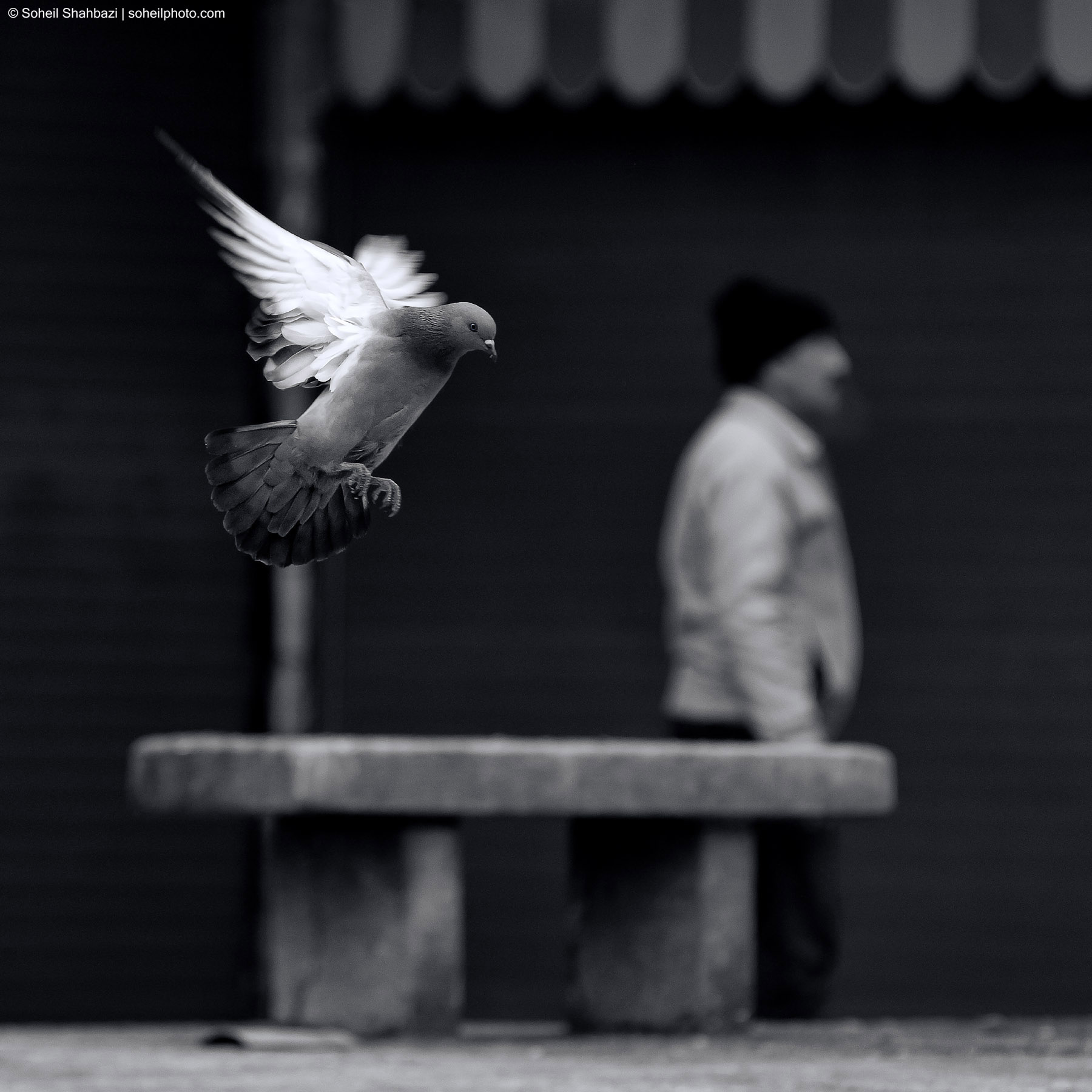 Silent Escape