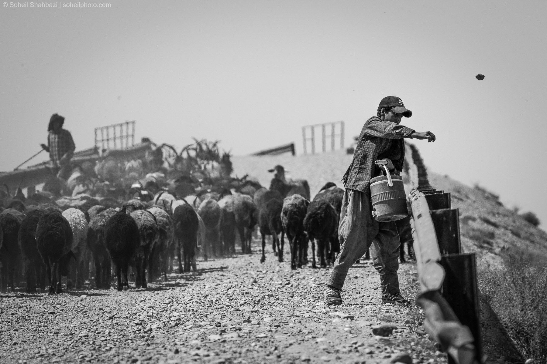 A black and white documentary photograph of a shepherd wearing a cap and carrying a water container, guiding a large flock of sheep along a dusty rural path under a bright sky. Photo by Soheil Shahbazi.
