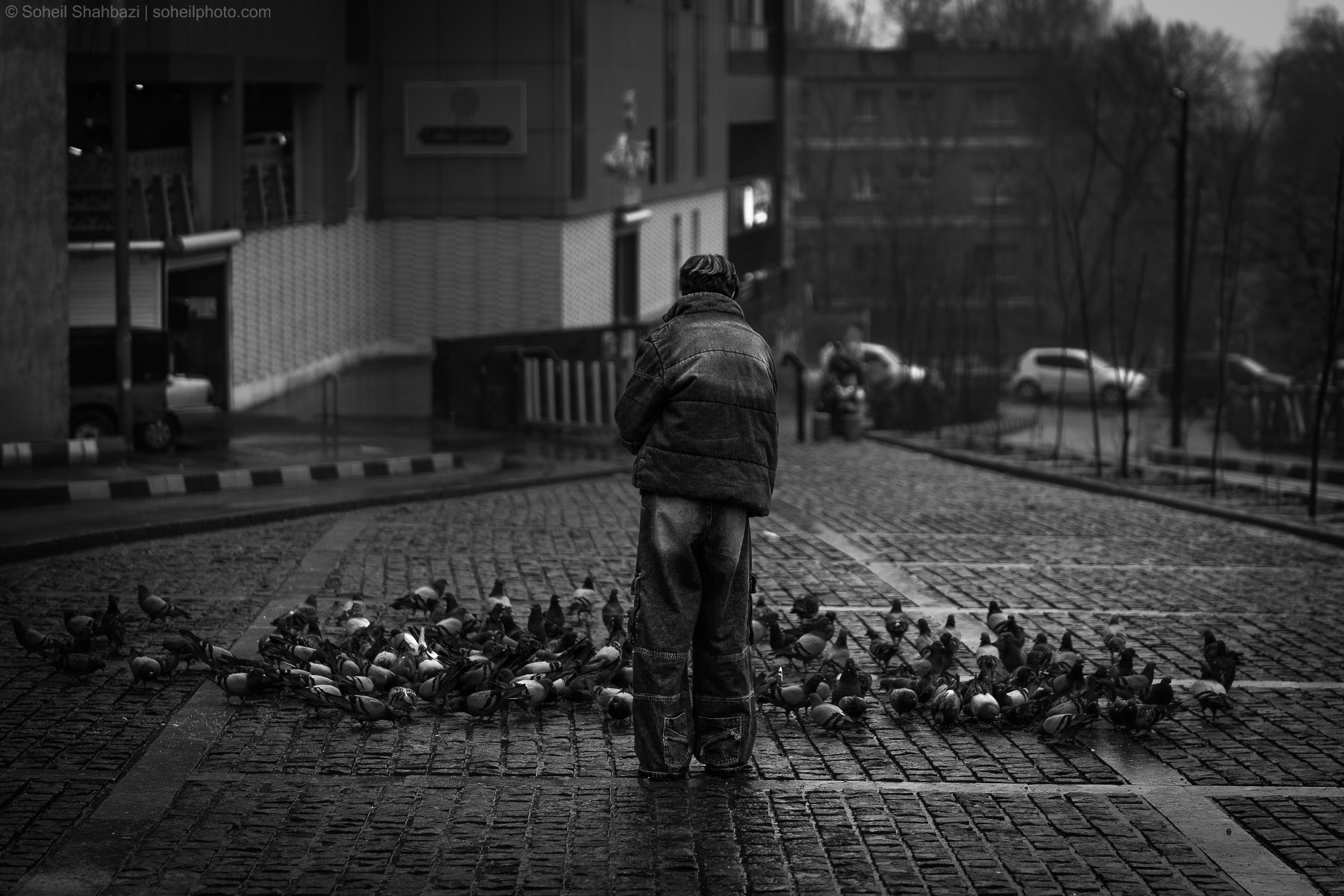 A black and white atmospheric shot of a child standing with their back to the camera, surrounded by a flock of pigeons on a wet cobblestone street in a city. Photographed by Soheil Shahbazi