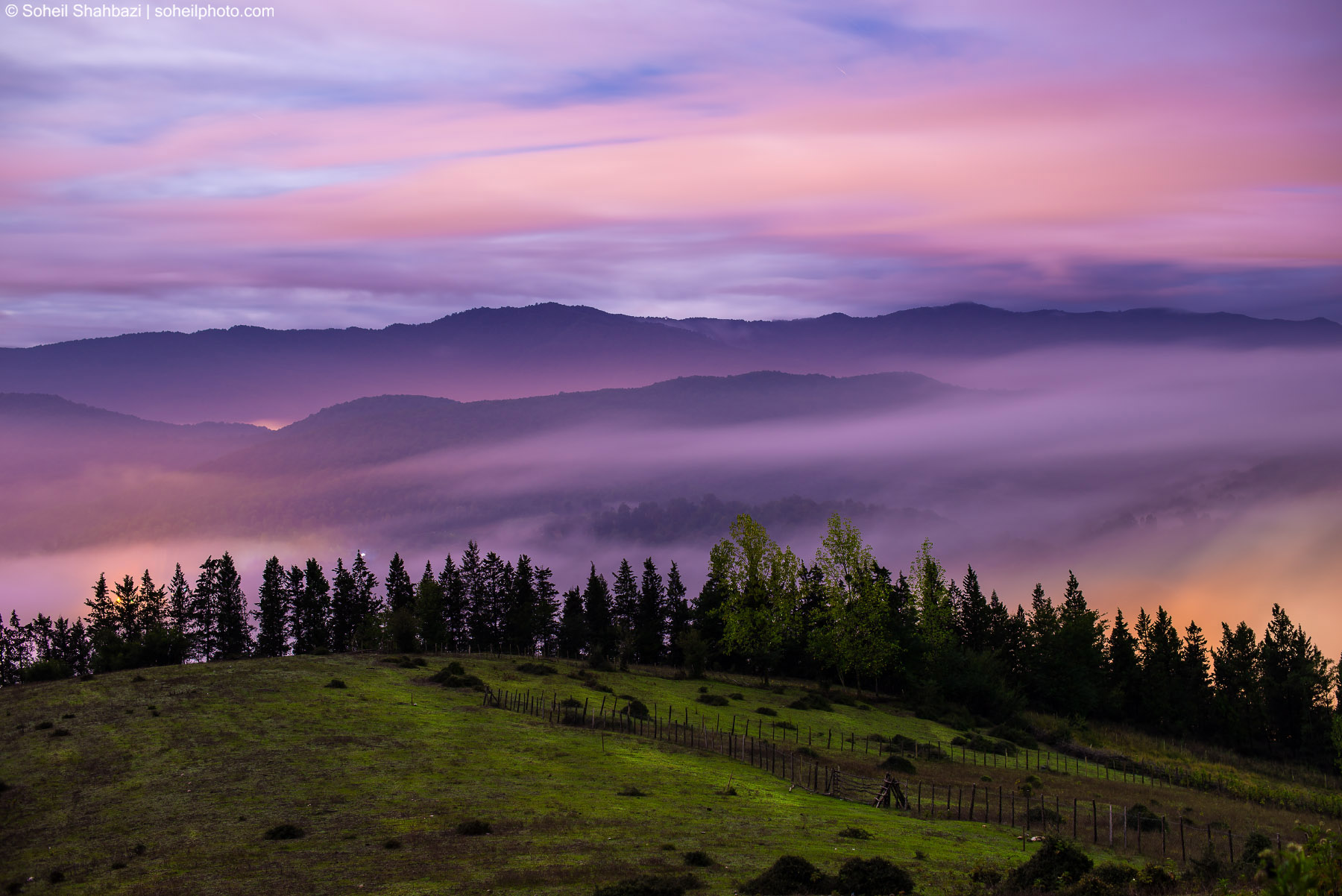 A serene landscape shot of Zirab village in Savadkuh, featuring a misty valley with rolling purple mountains under a soft pink and purple sunset sky, with a green meadow and a line of pine trees in the foreground. Photographed by Soheil Shahbazi