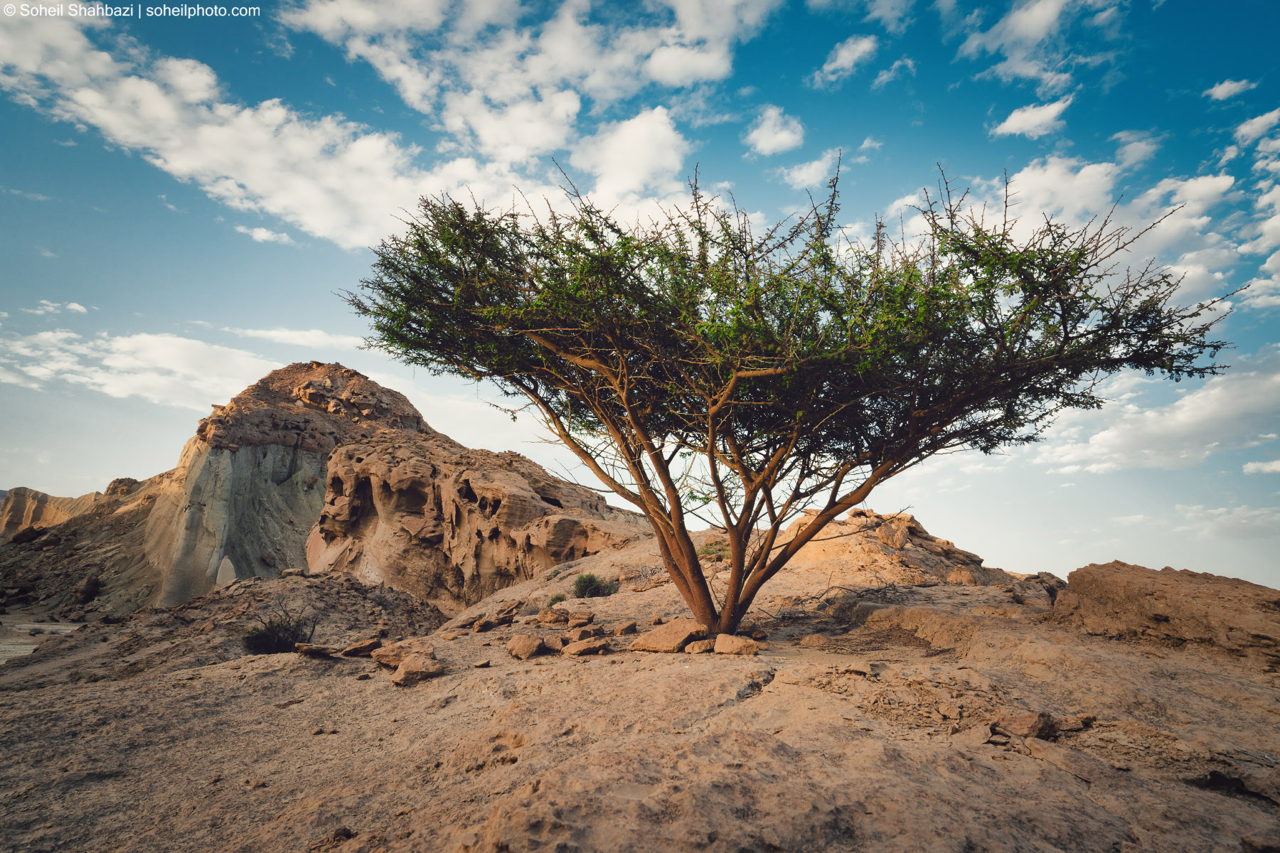Qeshm island