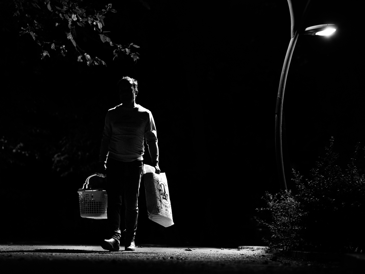 Between Light and Shadow