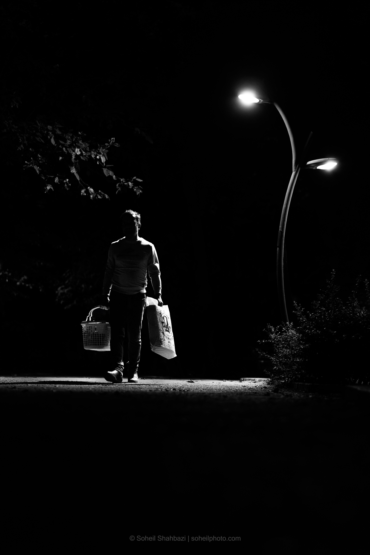 Black and white night street photograph of a man carrying shopping bags along a dimly lit road beneath curved street lamps, surrounded by deep shadows and sparse foliage. Photograph by Soheil Shahbazi.